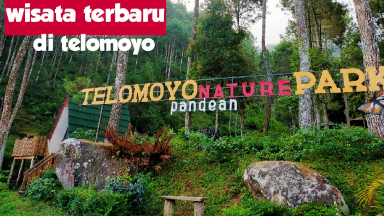 Telomoyo Nature Park: Pesona Alam yang Memukau di Lereng Gunung